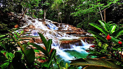 Dunn's River Falls Jamaica