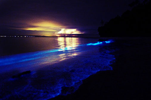 Luminous Lagoon in beautiful Jamaica